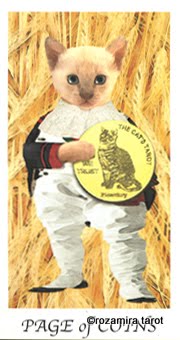 Cat's House Tarot by Hiroko Miyamoto